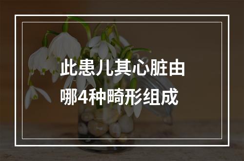 此患儿其心脏由哪4种畸形组成