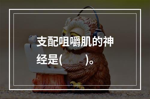 支配咀嚼肌的神经是(　　)。