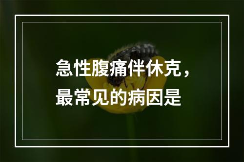 急性腹痛伴休克，最常见的病因是