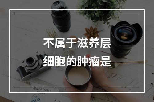 不属于滋养层细胞的肿瘤是