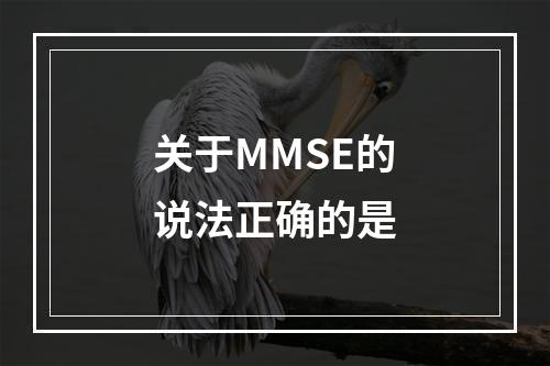 关于MMSE的说法正确的是