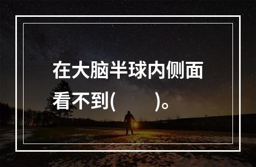 在大脑半球内侧面看不到(　　)。