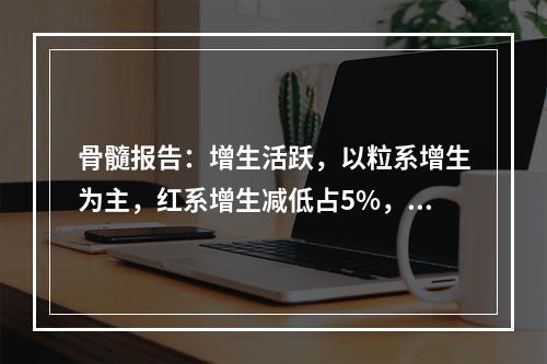 骨髓报告：增生活跃，以粒系增生为主，红系增生减低占5%，以晚