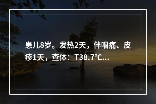 患儿8岁。发热2天，伴咽痛、皮疹1天，查体：T38.7℃，咽