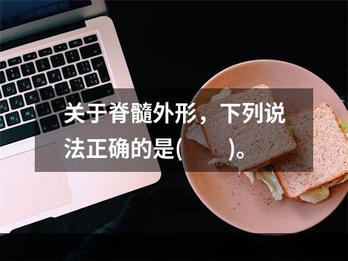 关于脊髓外形，下列说法正确的是(　　)。