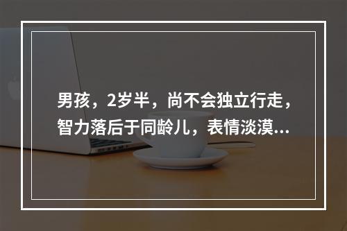 男孩，2岁半，尚不会独立行走，智力落后于同龄儿，表情淡漠，眼