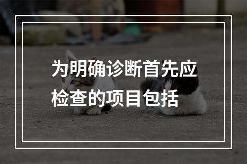 为明确诊断首先应检查的项目包括