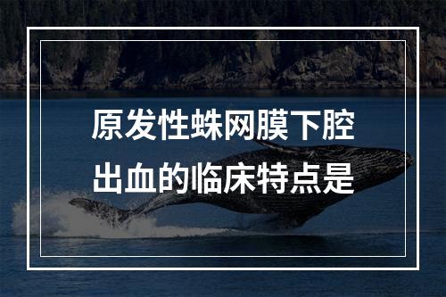 原发性蛛网膜下腔出血的临床特点是