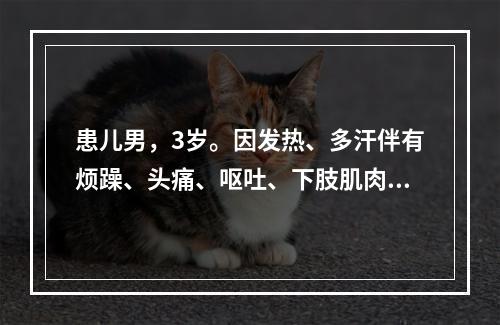 患儿男，3岁。因发热、多汗伴有烦躁、头痛、呕吐、下肢肌肉疼痛