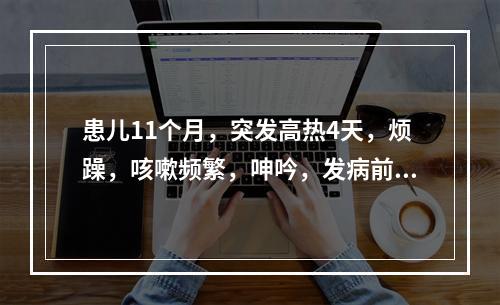 患儿11个月，突发高热4天，烦躁，咳嗽频繁，呻吟，发病前3天