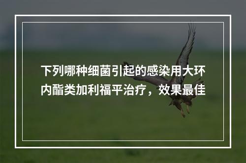 下列哪种细菌引起的感染用大环内酯类加利福平治疗，效果最佳