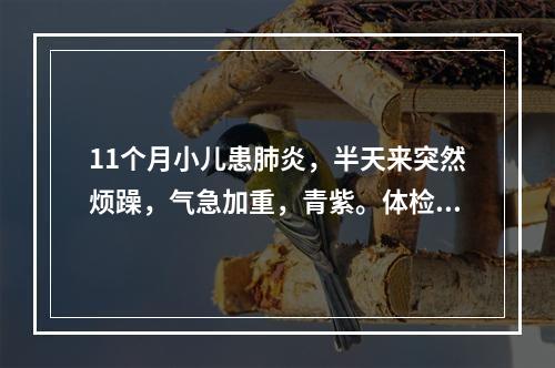 11个月小儿患肺炎，半天来突然烦躁，气急加重，青紫。体检：呼