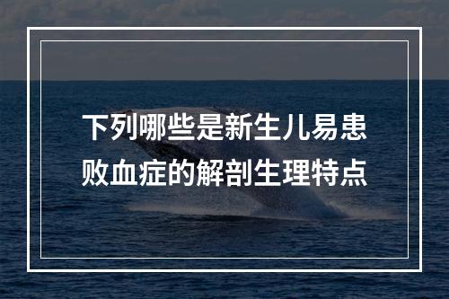 下列哪些是新生儿易患败血症的解剖生理特点