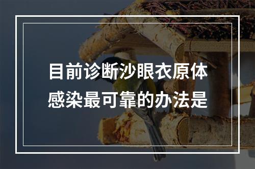 目前诊断沙眼衣原体感染最可靠的办法是