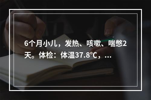 6个月小儿，发热、咳嗽、喘憋2天。体检：体温37.8℃，呼吸