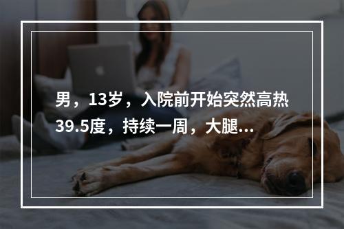 男，13岁，入院前开始突然高热39.5度，持续一周，大腿外上