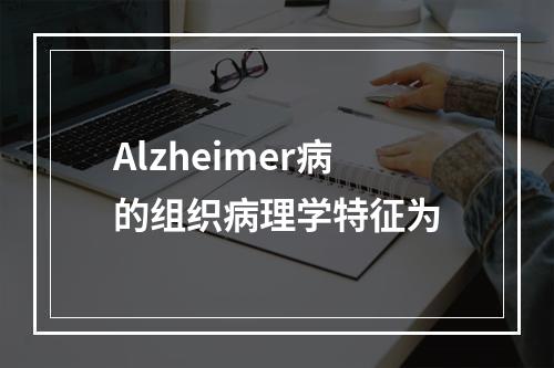 Alzheimer病的组织病理学特征为