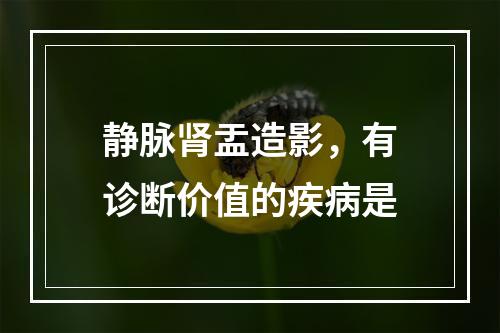 静脉肾盂造影，有诊断价值的疾病是