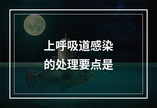 上呼吸道感染的处理要点是