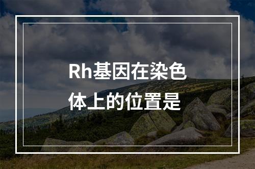 Rh基因在染色体上的位置是