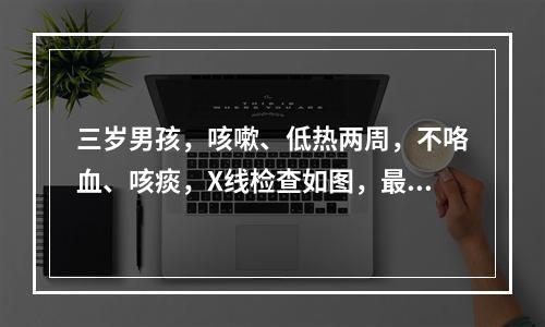 三岁男孩，咳嗽、低热两周，不咯血、咳痰，X线检查如图，最可能