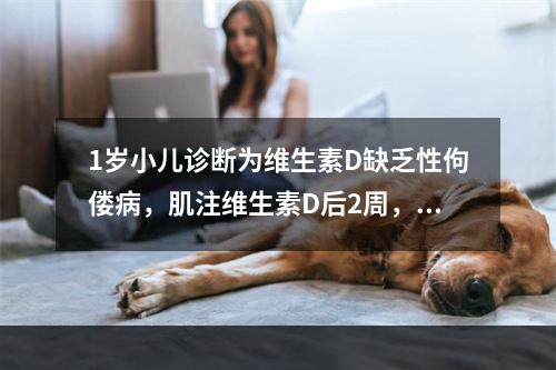 1岁小儿诊断为维生素D缺乏性佝偻病，肌注维生素D后2周，AK