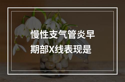 慢性支气管炎早期部X线表现是