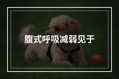 腹式呼吸减弱见于