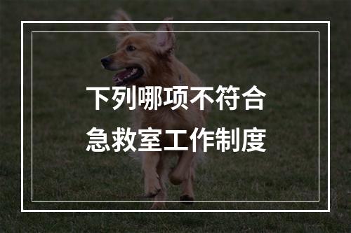 下列哪项不符合急救室工作制度