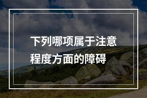 下列哪项属于注意程度方面的障碍