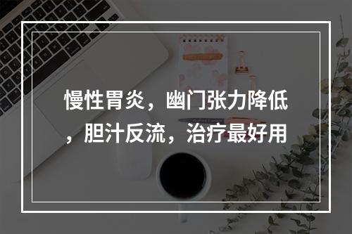 慢性胃炎，幽门张力降低，胆汁反流，治疗最好用