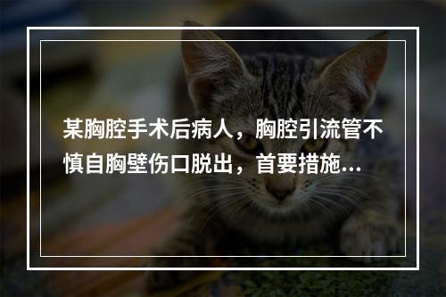 某胸腔手术后病人，胸腔引流管不慎自胸壁伤口脱出，首要措施是