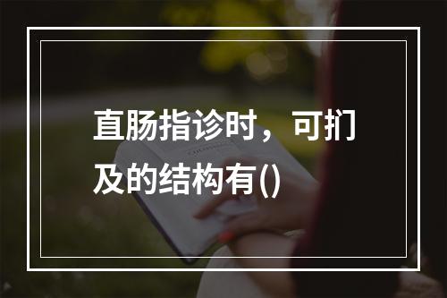 直肠指诊时，可扪及的结构有()