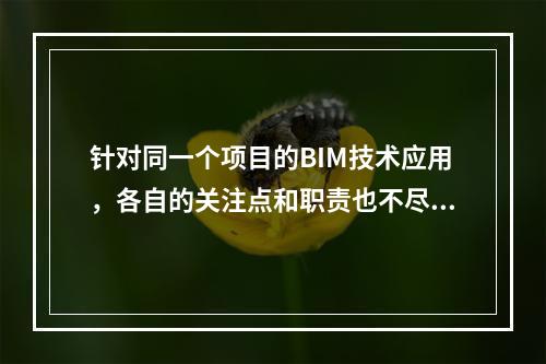 针对同一个项目的BIM技术应用，各自的关注点和职责也不尽相同