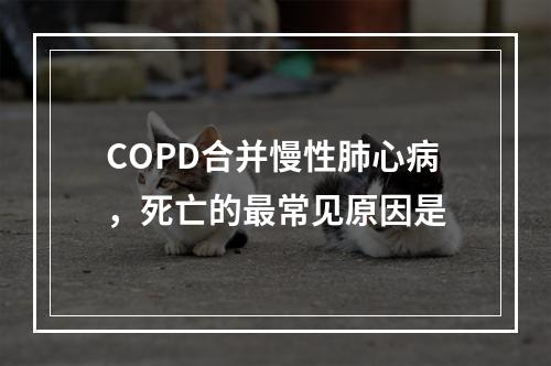 COPD合并慢性肺心病，死亡的最常见原因是