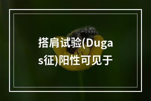 搭肩试验(Dugas征)阳性可见于