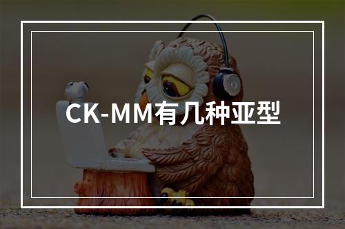 CK-MM有几种亚型