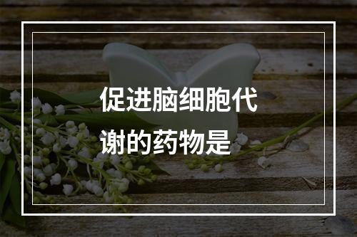 促进脑细胞代谢的药物是