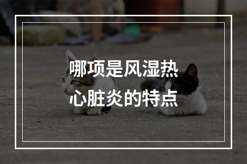 哪项是风湿热心脏炎的特点