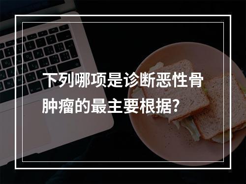 下列哪项是诊断恶性骨肿瘤的最主要根据?