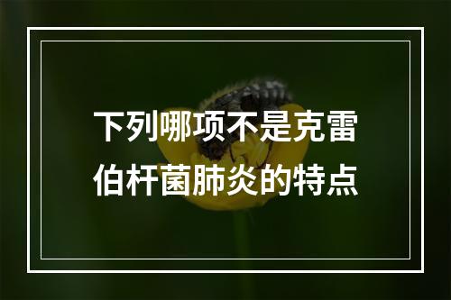 下列哪项不是克雷伯杆菌肺炎的特点