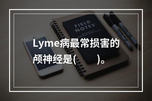 Lyme病最常损害的颅神经是(　　)。