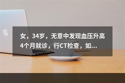 女，34岁，无意中发现血压升高4个月就诊，行CT检查，如图所