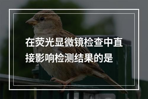 在荧光显微镜检查中直接影响检测结果的是