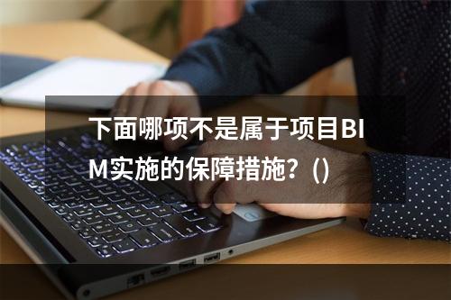 下面哪项不是属于项目BIM实施的保障措施？()