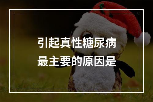 引起真性糖尿病最主要的原因是