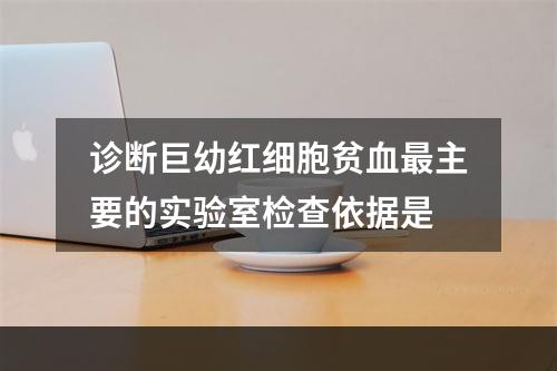 诊断巨幼红细胞贫血最主要的实验室检查依据是