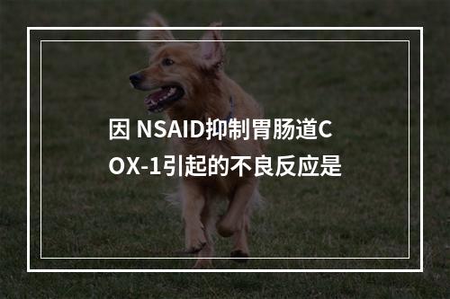 因 NSAID抑制胃肠道COX-1引起的不良反应是