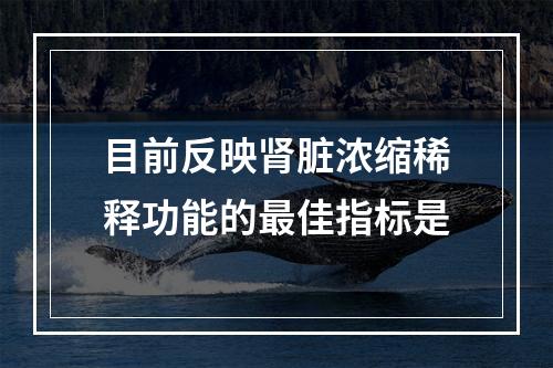 目前反映肾脏浓缩稀释功能的最佳指标是