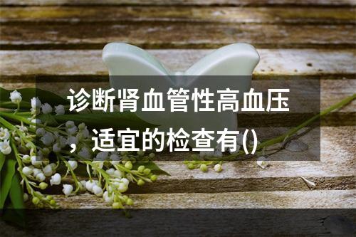 诊断肾血管性高血压，适宜的检查有()